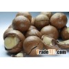 macadamia nuts from Thailand available at a good market price