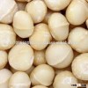 Unshelled Macadamia Nuts Best Quality