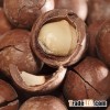 ( Best market Prices)bulk Macadamia for sale from Thailand