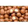 Top grade and quality macadamia nuts for sale