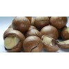 Premium Macadamia Nuts
