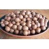 Macadamia Nuts for sale ( Best market Prices)