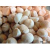 Peeled Macademia Nuts