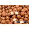 RAW AND DRIED ORGANIC MACADAMIA NUTS WITH SHELLS