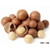 Raw Macadamia nuts for sale at a good market price