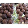 DRIED ORGANIC MACADAMIA NUTS WITH SHELL FOR SALE AT BEST PRICES
