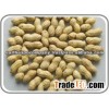 Raw Groundnut for Edible Oil