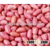 We are supply peanuts , red skin peanut kernel with best price