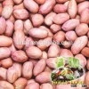 Grade A JAVA 40/50 Senegal African Peanut Kernel red skin peanut butter freight to Qingdao world-wid