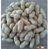 Raw Peanuts in Shell 9-11,11-13 Specification