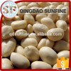 Blanched peanut kernels, peanuts in shell, roasted peanut inshell