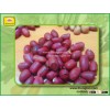 (Hight quality product)Red Peanut