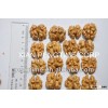 Hot selling Chinese best quality and delicious natural walnut kernel