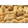RAW PEANUT KERNELS ,ROASTED PEANUTS WITH AND WITHOUT SHELLS