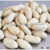 best price Chinese groundnut blanched peanuts