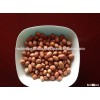 PREMIUM QUALITY INDIA PEANUTS