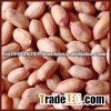 Wholesale Peanuts