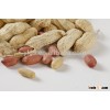 Wholesale Dried Peanuts