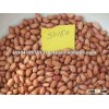 Peanuts 1kg price