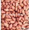 long type red skin china big size peanut