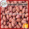 Red skin peanut kernels without shell