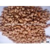 HPS Groundnut seed