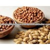 GROUNDNUT KERNEL