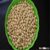 High quality peanut Kernels/blanched peanut kernel