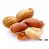 Peanut - Visit www.agriprices.com For Wholesale Discounts On Peanuts Price