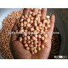 Indian Peanuts