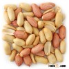 Peanut (groundnut)