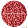 Hot sale blanched peanut kernel from China