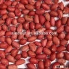 2015 Crop Red Skin Peanut Kernel