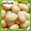 Best Selling blanched peanuts kernel
