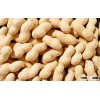 Raw peanuts inshell,good quality with affordable price