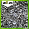 INNER MONGOLIA, FULL KERNEL, SUNFLOWER SEEDS 5009