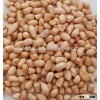 Good Quality Round Type Raw Peanuts Price