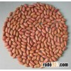 Peanuts Kernel With Red Skin 24-28 Specification