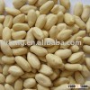 Chinese New Crop Blanched Peanut Kernel
