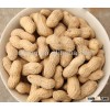 New Crop Chinese Best Price Roasted Peanut In Shell