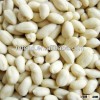 New Crop 2013 Chinese Blanched Peanut Kernels 25/29 For Sale