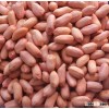 Differnt size long type peanut kernel