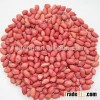 New Crop Chinese Red Skin Peanut Kernel Price