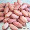 hot selling healthy long type peanut kernel 38/42