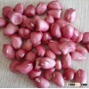 high nutritive value red skin peanuts kernel/wholesale peanuts