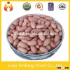 new production peanut kernels made in China