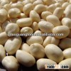 shandong white blanched peanut kernel