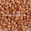 Fresh Crop Round Peanut Kernel
