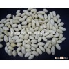 We are supply peanut,blanched peanut kernels in long shape