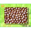 Groundnut Kernel by thongtan.com